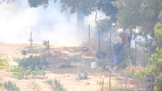 Bodrum’da tarım arazilerinde yangın kabus yaşattı