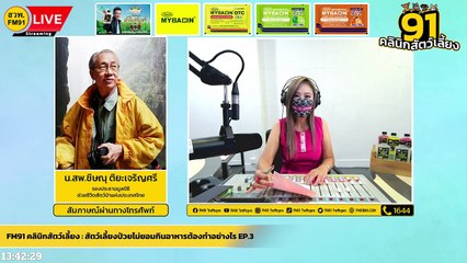 สัตว์เลี้ยงป่วยไม่ยอมกินอาหารต้องทำอย่างไร EP.3 : FM91 คลินิกสัตว์เลี้ยง : 5 มิถุนายน 2565