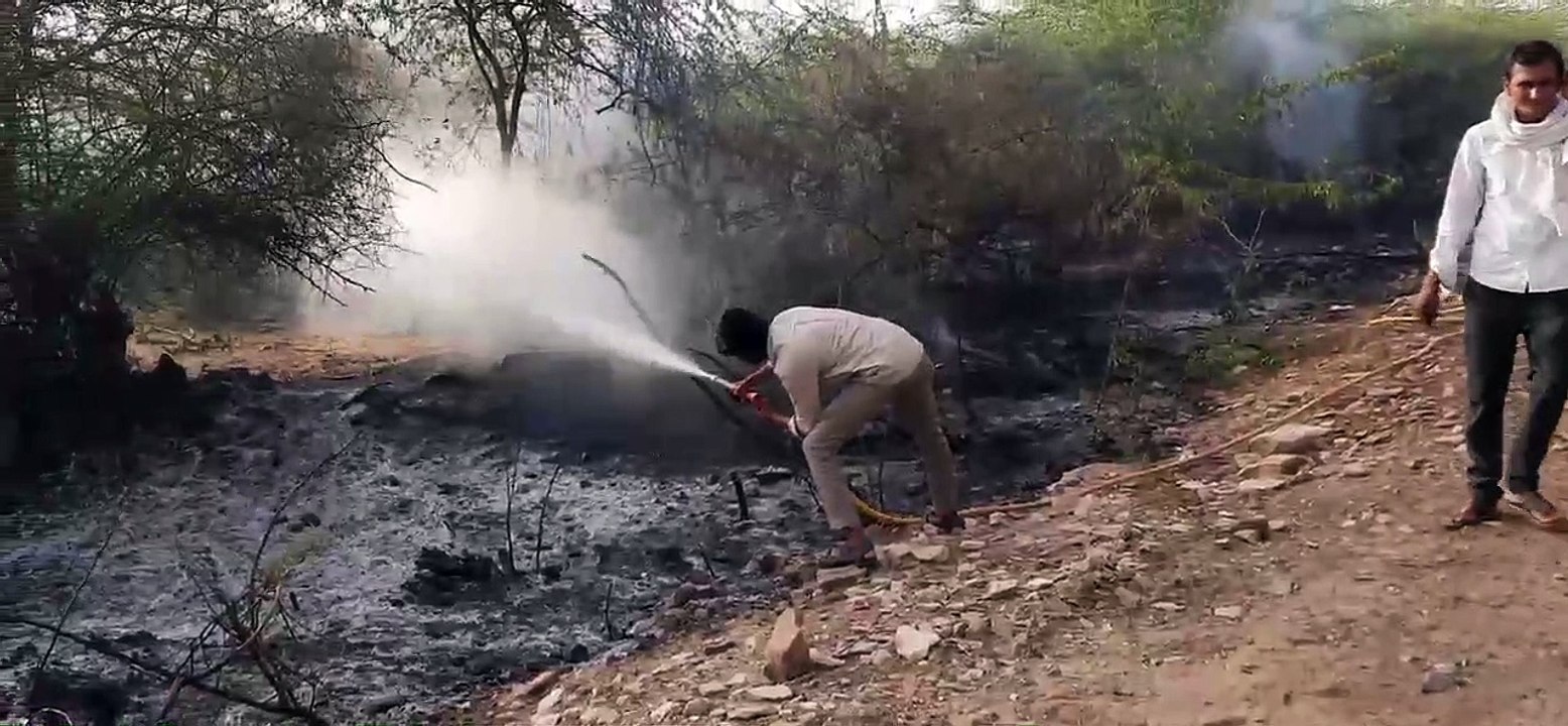 बीसलपुर बांध वन क्षेत्र में लगी आग