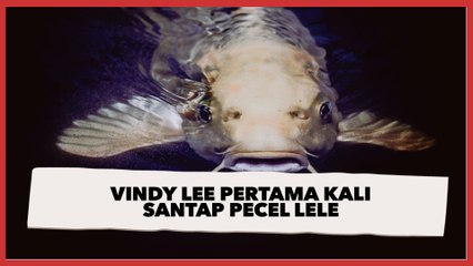 Vindy Lee Pertama Kali Santap Pecel Lele, Publik Heboh Soal Buntut yang Tidak Dimakan: Itu Bagian Terenaknya