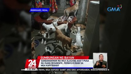 Sandamakmak na mga alagang aso't pusa ng isang residente, perwisyo raw sa mga kapitbahay | 24 Oras