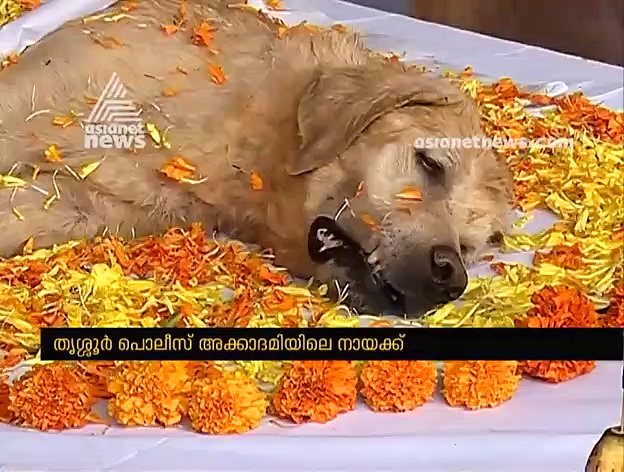 ചെഗുവേരയുടെ മകള്‍ അലൈഡ ഗുവാര തിരുവനന്തപുരത്ത്;മുഖ്യമന്ത്രിയുമായി കൂടിക്കാഴ്ച്ച നടത്തി