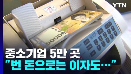 중소기업 5만 개 "번 돈으로 이자도 못 내" / YTN