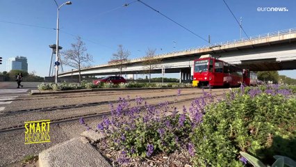 El notable papel de la robótica en el aprendizaje de las denominadas 'materias CTIM'