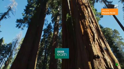 Planeta Verde - Mundos tropicales [Documental HD]