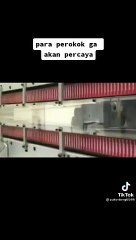 News Cigarettes Contain Pig Hemoglobin ????