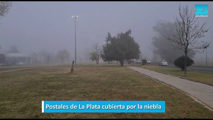 Postales de La Plata cubierta por la niebla