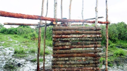 Bushman  Build The Most Beautiful Jungle Villa for Living