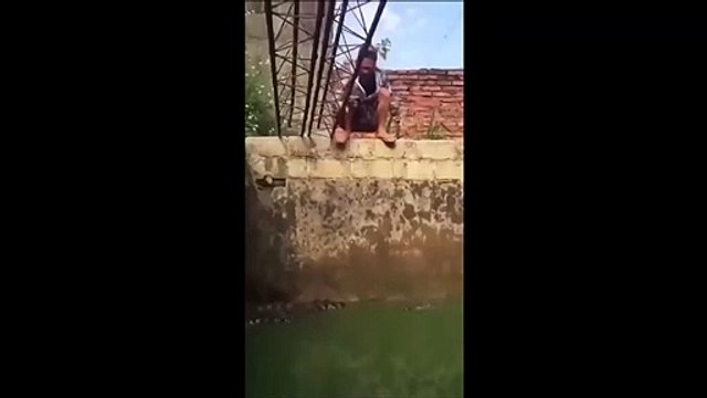 Sauter dans le bassin des crocodiles... courageux