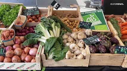 OECD: Weltwirtschaft wird Krieg teuer bezahlen