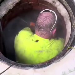 Mieux vaut ne pas être dégouté des insectes quand tu fais ce travail