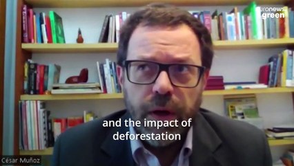 The search to find Dom Phillips continues - we talk to a human rights expert on crime in the Amazon