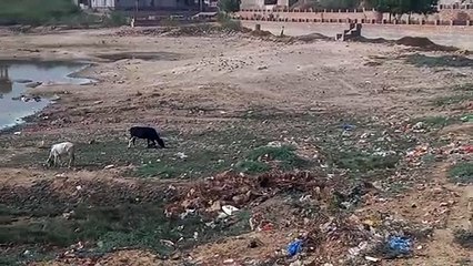 नहीं संभले जिम्मेदार तो नागौर में नहीं मिलेगी पानी की एक बूंद