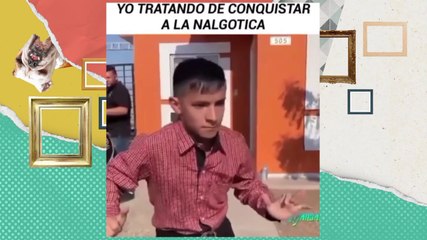 Los pasos prohibidos para conquistar - Almohadazo Casero