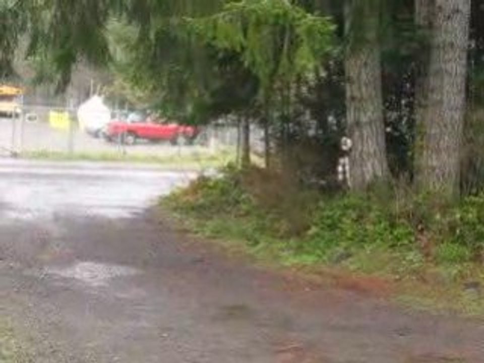 More rain