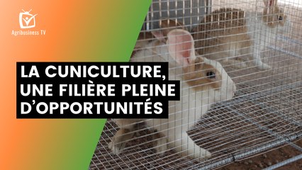 Burkina Faso : La cuniculture, une filière pleine d’opportunités