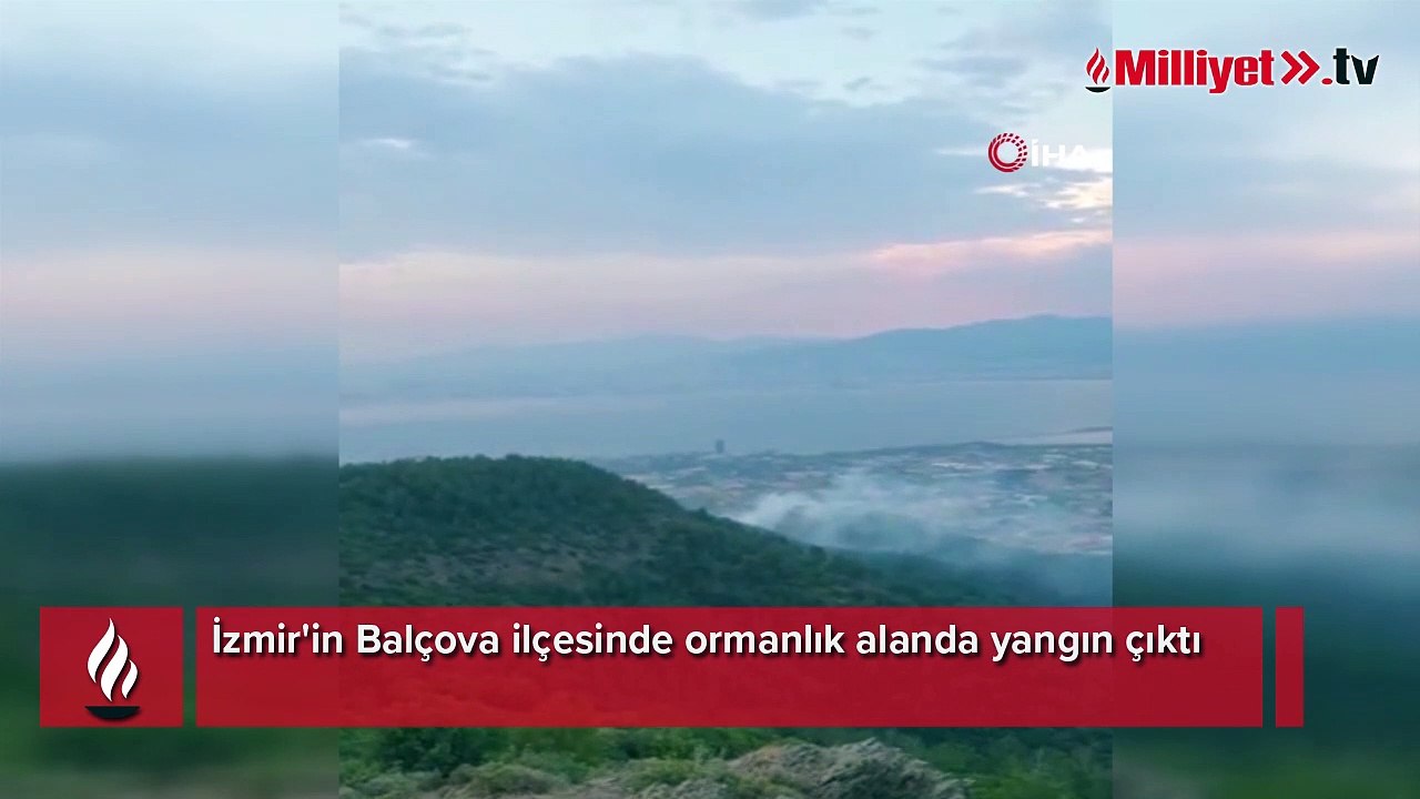 İzmir'de ormanlık alanda yangın