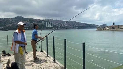 Yunuslar yüzlerce istavriti limana sıkıştırdı, vatandaşlar kova kova balık avladı