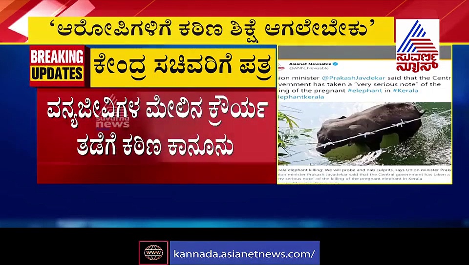 ವನ್ಯಜೀವಿಗಳ ವಿರುದ್ಧ ಕ್ರೌರ್ಯ: ಕಾಯ್ದೆ ತಿದ್ದುಪಡಿ, ಕಠಿಣ ಶಿಕ್ಷೆಗೆ ಸಂಸದ ರಾಜೀವ್ ಆಗ್ರಹ