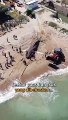 Paus Sepanjang 14 Meter Ditemukan Mati di Pantai Valencia, Banyak Luka di Sirip Punggung