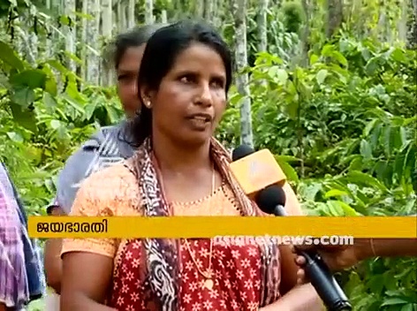 വയനാട്ടില്‍ ജനവാസ മേഖലയില്‍ കരടിയിറങ്ങി