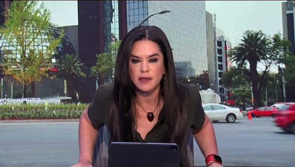 Así luce el ahuehuete que sustituyó a la palma en Paseo de la Reforma