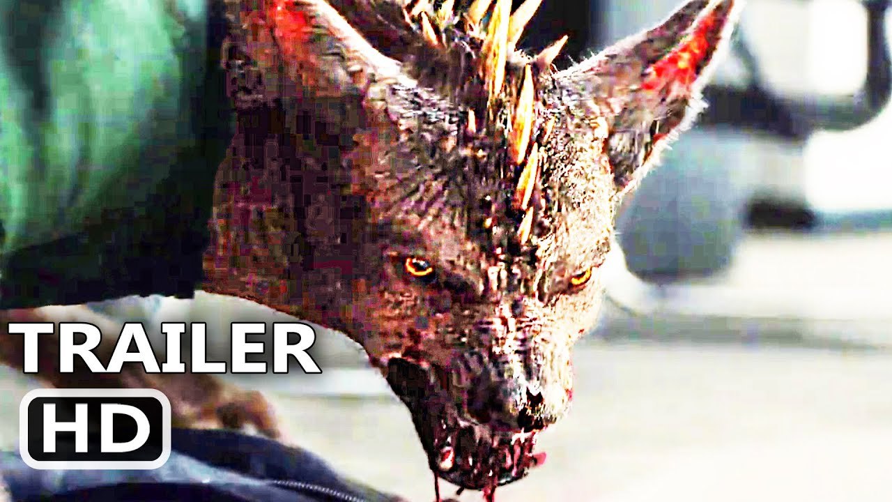 THE IMPERFECTS Trailer