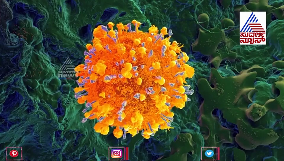 ಅಮೆರಿಕಾ ಸಂಶೋಧಿಸುತ್ತಿರುವ ಕೋವಿಡ್ 19 ಲಸಿಕೆಯನ್ನು ಹ್ಯಾಕ್ ಮಾಡಿತಾ ಚೀನಾ?