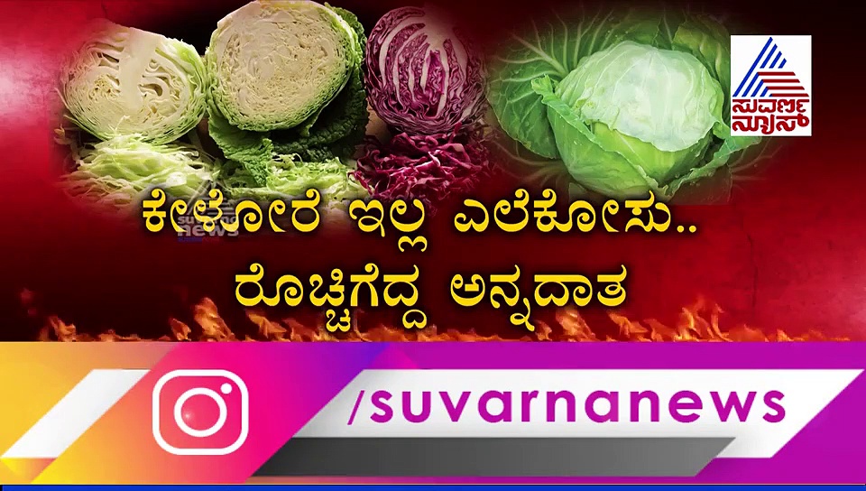 ಕೇಳೋರೆ ಇಲ್ಲ ಎಲೆಕೋಸು, ರೊಚ್ಚಿಗೆದ್ದ ರೈತ, ಡಿಸಿ ಕಚೇರಿ ಎದುರು ಪ್ರತಿಭಟನೆ