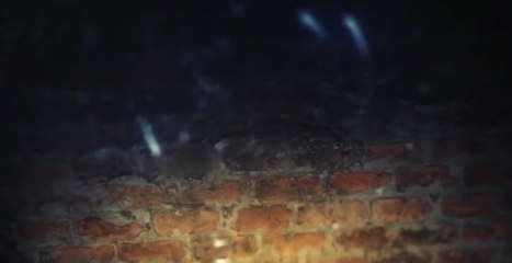 ماوێ چاڤ نقاندنە‌كێ دا چی روودە‌ت؟