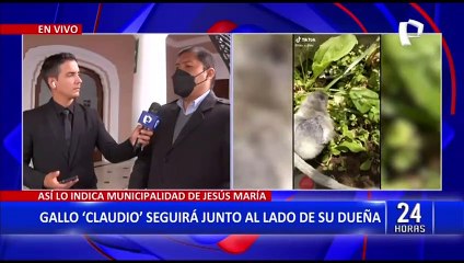 Municipio de Jesús María aclara que jamás han pretendido separar al Gallo Claudio de su dueña
