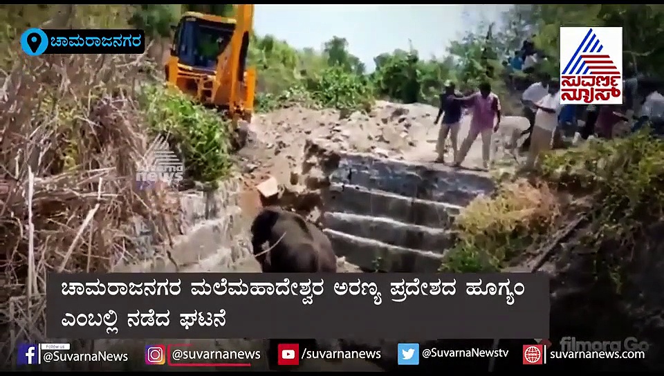 ಕೃಷಿಹೊಂಡಕ್ಕೆ ಬಿದ್ದ ಆನೆಯನ್ನು ರಕ್ಷಣೆ ಮಾಡುವ ವಿಡಿಯೋ ವೈರಲ್