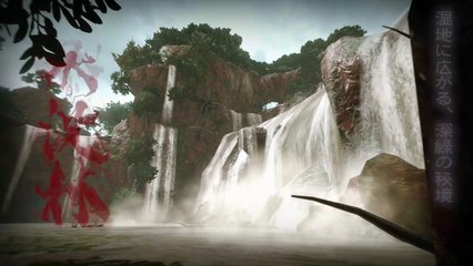 【モンハンライズ】水没林 フィールド紹介