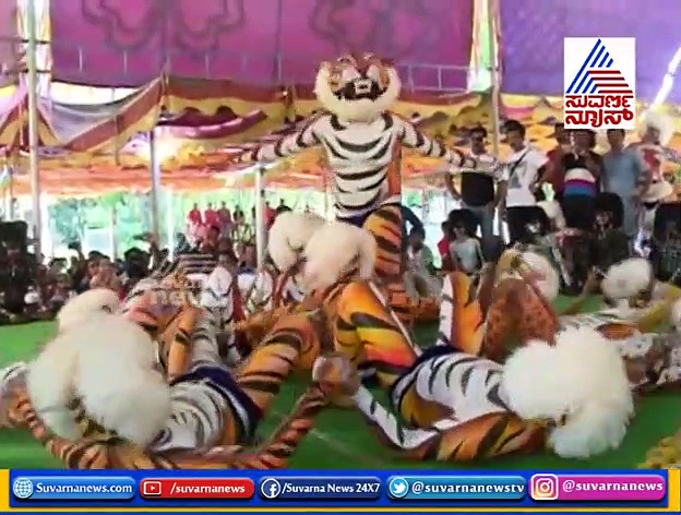 ಹುಲಿ ಕುಣಿತಕ್ಕೂ ತಟ್ಟಿದ ಆರ್ಥಿಕ ಹಿಂಜರಿತದ ಬಿಸಿ!