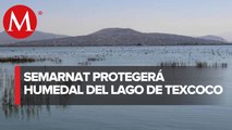 Lago de Texcoco entra en Lista de Humedales de Importancia Internacional