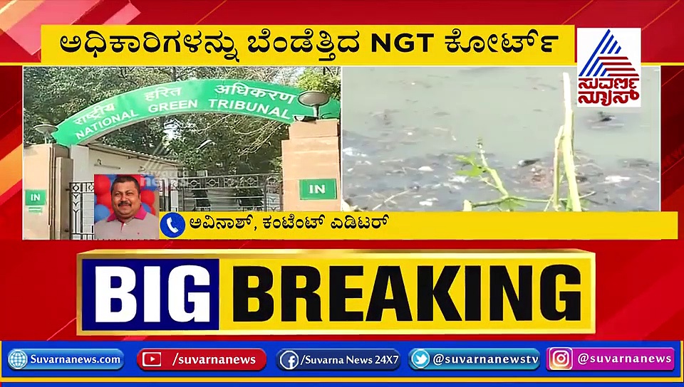 ಬೆಂಗಳೂರು ಕೆರೆ ಶುದ್ಧೀಕರಣ: ಅಧಿಕಾರಿಗಳ ಬೆಂಡೆತ್ತಿದ NGT