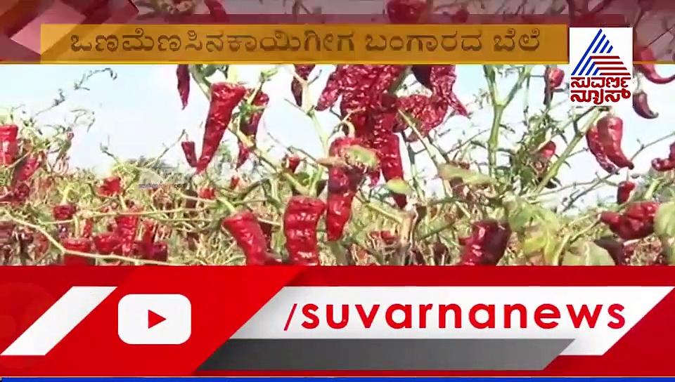 ಹುಷಾರು....  ಬೀಗ ಒಡೆಯದೇ 5 ಕ್ವಿಂಟಾಲ್ ಕೆಂಪುಬಂಗಾರ ದೋಚಿದ ಕಳ್ಳರು!