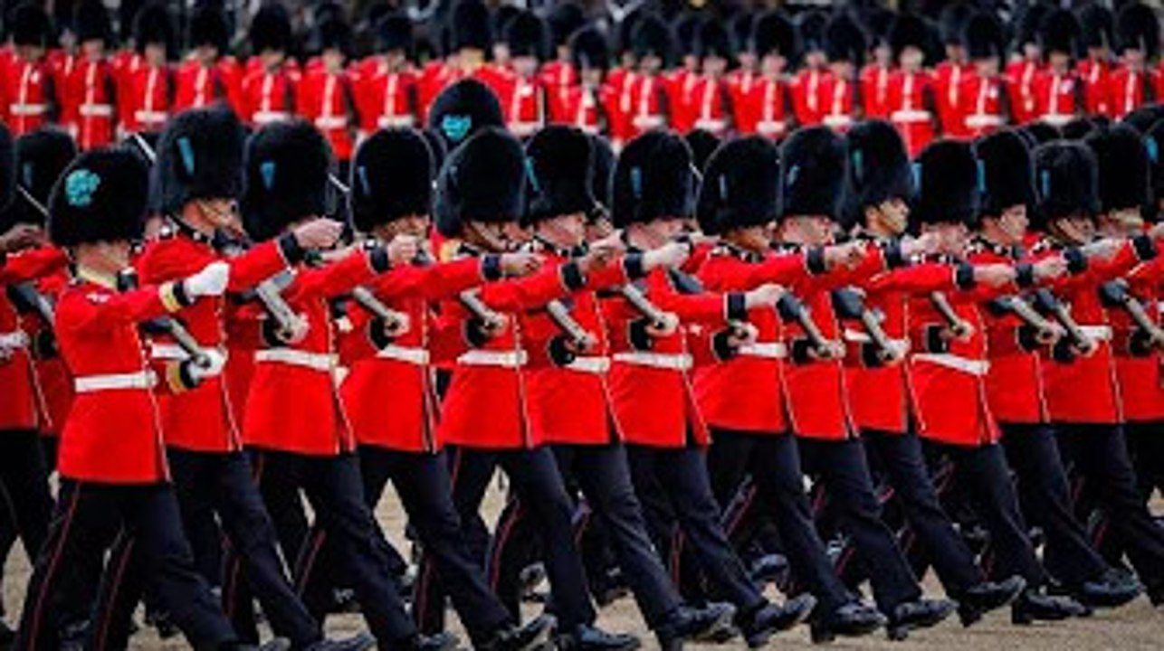 ‘Pampered pooch’ Seamus outshone Irish Guards at Horse Guards Parade sparking fan frenzy