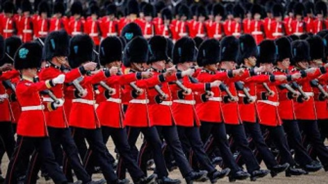 ‘Pampered pooch’ Seamus outshone Irish Guards at Horse Guards Parade sparking fan frenzy