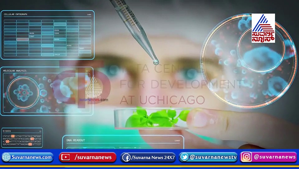 ಹೆಚ್ಚುತ್ತಿರುವ ಬಿಸಿ; 2100ರ ವೇಳೆ ಒಂದೂವರೆ ಮಿಲಿಯನ್ ಭಾರತೀಯರ ಸಾವು!