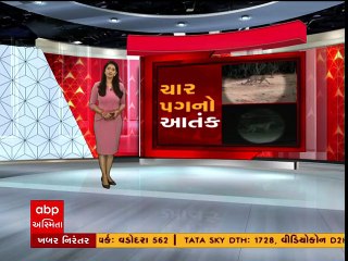 અમરેલીઃ સાવરકુંડલા શહેરમાં દીપડો દેખાતા લોકોમાં ભયનો માહોલ