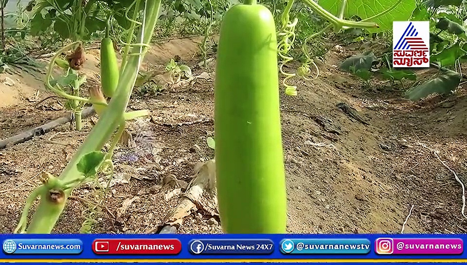 ಬೆಲ್ಲಿ ಫ್ಯಾಟ್ ತೊಲಗಿಸಲು ಇಂಡಿಯನ್ ಫುಡ್