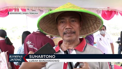 Tingkatkan Kesejahteraan Warga, 250 Kg Bibit Jahe Ditanam