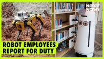 Robot employees report for duty | NEXT NOW
