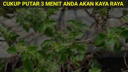 Baca 3x dan Sebut Semua Hajatmu, Hanya Butuh 5 Menit Segala Hajat Terkabul