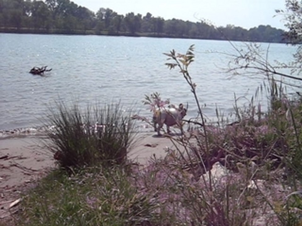 Bimbo beach