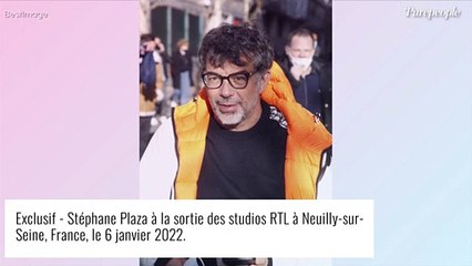 Stéphane Plaza transparent sur son orientation sexuelle : "Va-t-on me croire, c'est une autre histoire !"
