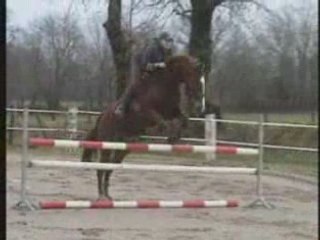 PLAY BOY OBS MARIE mpg