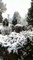 Snowfall at Batlow - June 7, 2022 - The Daily Advertiser