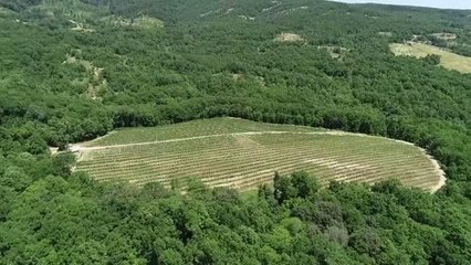 KIRKLARELİ - Yıllar sonra yerleştiği köyünde yaban mersini ve aronya yetiştiriyor